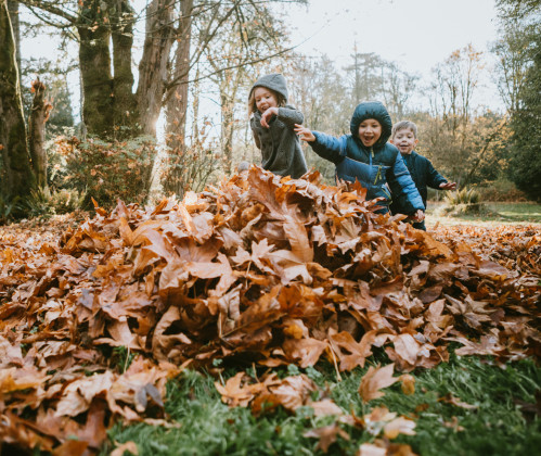 playing_in_leaves