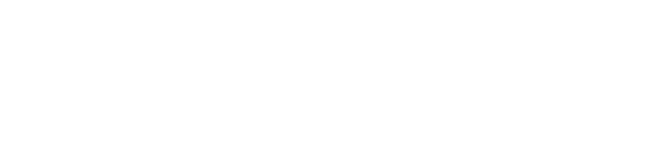 Chaney Capital Management